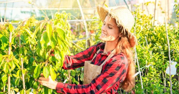 10-reasons-why-gardening-is-good-for-you