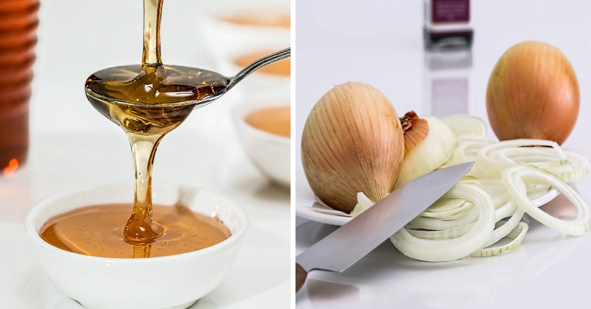 6 Health Benefits of Onion And Honey Mixture And Why It Is So Powerful?